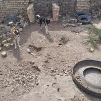 قدرجونی وافغان