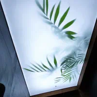 سقف کشسان|مصالح و تجهیزات ساختمان|قائمشهر, |دیوار