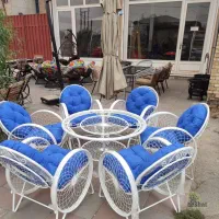 صندلی ویلایی/طرح گلبرگ سنگین /ست ۶ نفره