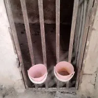 فروش تعدادی درب گنجه بزرگ برای لاری|حیوانات مزرعه|قم, کلهری|دیوار