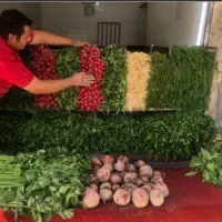جذب نیروی کار خانوم و آقا در سبزی فروشی