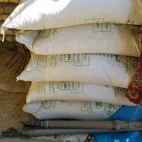 کودشیمیای سفیداوره