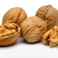 گردو امسالی تازه