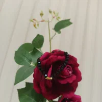 دستبند کریستالی|جواهرات|ابهر, |دیوار