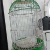 قفص دو عدد