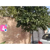 اجاره روزانه ماهانه/ سوییت ۶۵ متری|اجارهٔ کوتاهمدت آپارتمان و سوئیت|بندر انزلی, کوی بهار|دیوار