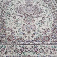 رز مریم رنگ کرم کاملاً سالم ۹متری دوعدد