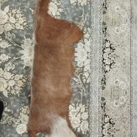 وسایل ماشین