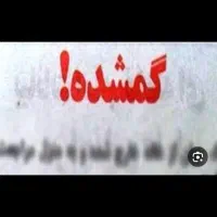 کیف پول قهوه ای