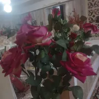گل مصنوعی|گل مصنوعی|ارومیه, |دیوار