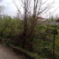 زمین-فروشی