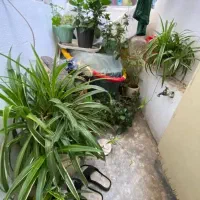 فروش واحد ۶۹متری تک خواب جماران توشیبا حشمت|فروش آپارتمان|رشت, جماران|دیوار
