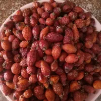 گلدیک یا میوه گل نسترن