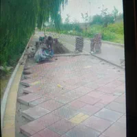 کاشی وسرامیک سنگ مالون موزاییک وسنگ کاری وآجر|خدمات پیشه و مهارت|لاهیجان, آهندان|دیوار