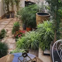 زعفرانیه ۱۹۰ متر به همراه ۳۰متر حیاط اختصاصی