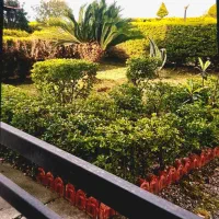 اجاره ویلا وسوییتهای ساحلی