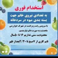 استخدام نیروی خانم جهت بسته بندی میوه