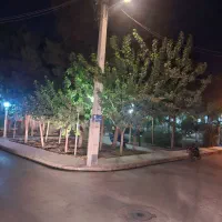 ویلایی جنوبی