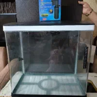 آکواریوم شیشه خم شرکتی مشکی