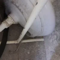 متن|بندرخت و رخت‌آویز|کوهدشت, |دیوار