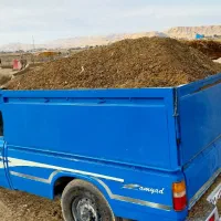 کود گوسفندی