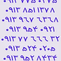 ۰۹۱۳.۵۲۴.۱۵۱۰