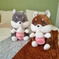 پتو شب نما|رختخواب، بالش، پتو|بندرعباس, |دیوار