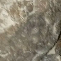 انواع شهاب سنگ و سنگ طبی