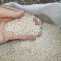 برنج نیمه تارم اصل عطر و بوی تضمینی زیر قیمت بازار|خوردنی و آشامیدنی|مشهد, طبرسی شمالی|دیوار