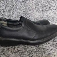 کفش نیوبالانس|کیف، کفش، کمربند|صدرا-فارس, فاز ۱|دیوار