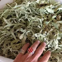 پخش عمده کاکوتی وبومادران ومریم گلی یا سالویاوغیره