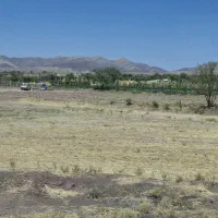 سرمایه گذار