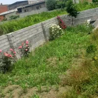 زمین ۱۵۴ متری بافت شهری پل هوایی ابتدای اندیشه ۴۳|فروش زمین و ملک کلنگی|قائم‌شهر, |دیوار