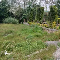 زمین شهرکی/داخل بافت/لب رودخانه