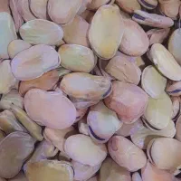 باقله خشک|خوردنی و آشامیدنی|شوشتر, |دیوار