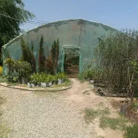 فروش 300متر سازه گلخانه تونلی
