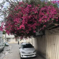 206 تیپ پنج مدل 90