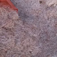 کاه|حیوانات مزرعه|تربت جام, میان جام|دیوار