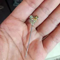 گل سینه سوزنی خارجی