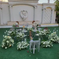 باغ تالار رضا|خدمات پذیرایی، مراسم|ملارد, |دیوار