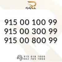 0915-00-100-99