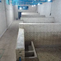 باشگاه سوارکاری چرخاب اشکذر