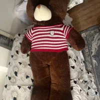 خرس دو متری