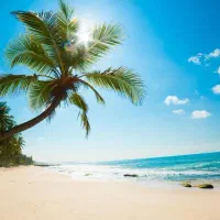 تورریلی قشم