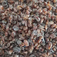 کشمش|خوردنی و آشامیدنی|میاندوآب, |دیوار