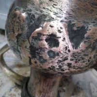 افتابه‌عتیقه