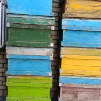 صندوق زنبور و موم