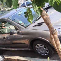 پژو ۲۰۶ SD|خودرو سواری و وانت|تهران, گرگان|دیوار