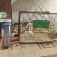 به علت جابجایی وسیله هام میفروشم|فرش|کنارک, |دیوار