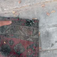 فرش  ۴  متری قدیمی عتیقه با عروس هلندی|فرش|یزد, |دیوار